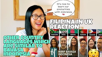 OTHER COUNTRY LANGUAGES WHICH ARE SIMILAR TO BAHASA INDONESIA - REACTION #indonesia #bahasaindonesia