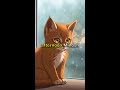 You Won't Handle This Cuteness! Cutest Puppy &amp; Kitten Moments 🐕🐈‍⬛❤️
