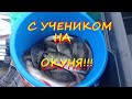 С учеником на окуня и уклейку!!!