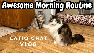 The Coolest Cat Family | Catio Chat Vlog #animals #pets #cats #catvideo #catlover