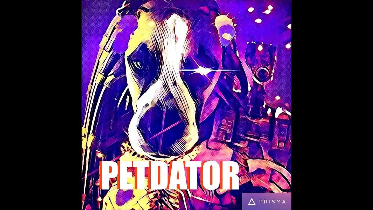 gearaholic sg Petdator