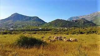 Sutomore - Kako kroz Spičko polje doći do plaža TUNEL , ŠTRBINA i MALJEVIK 