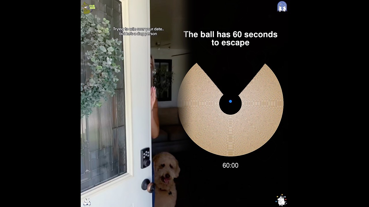 Your guide to winning him over. Results not guaranteed 