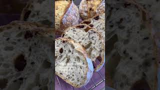 芝麻蔓越莓酸種麵包 Sesame &amp; Cranberry Sourdough Bread #baking #bread #sourdough