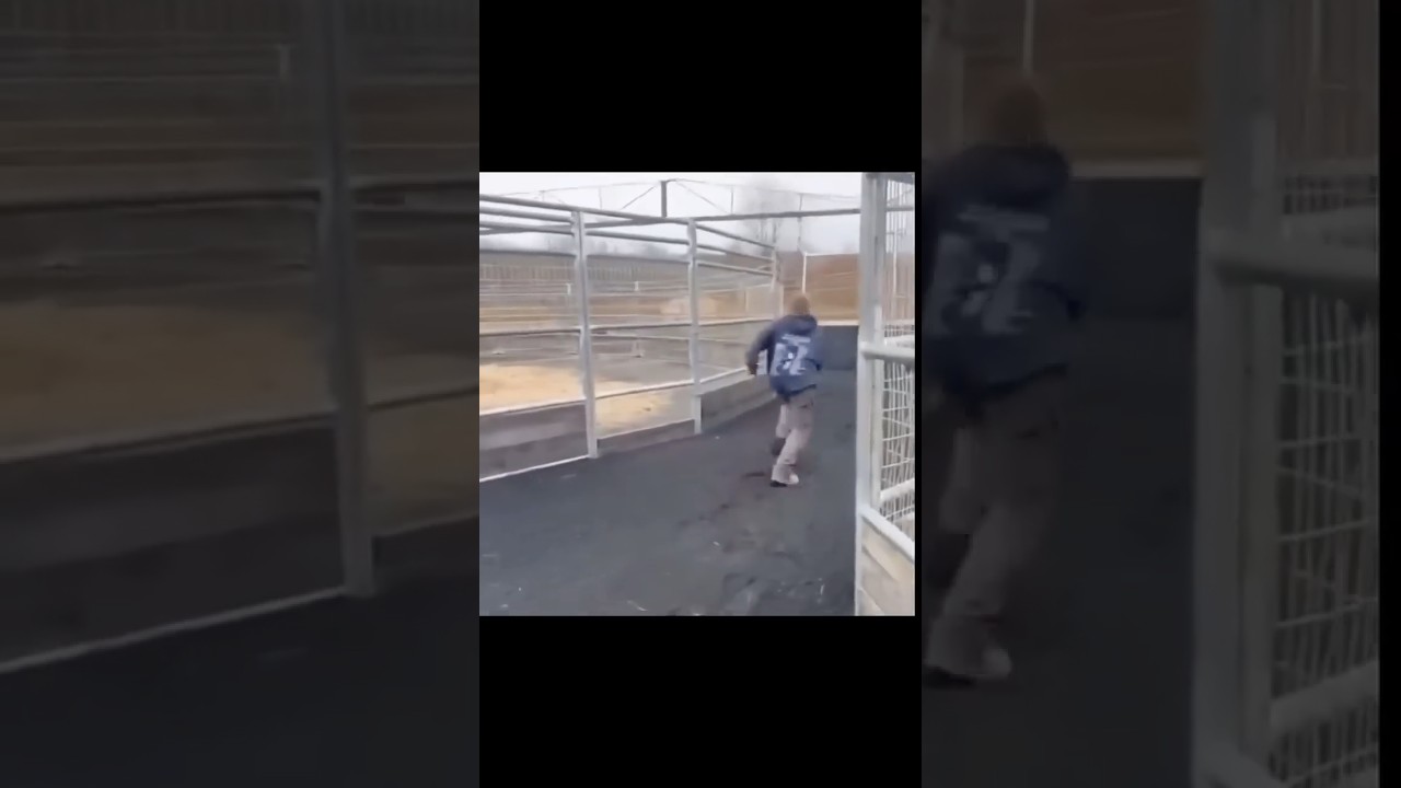 No risk no fun 🤣 (almost)