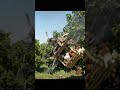 Drone Chicken Delivery FAILS After Mango Tree Collision! #aivideo #drone #fpv #shorts