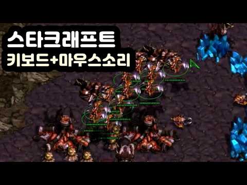 【ASMR】 스타크래프트 밀리 게임 | 키보드&마우스 소리 | 상구리 MOD-L 리니어축 키보드소리 | 스타크래프트 밀리 플레이영상