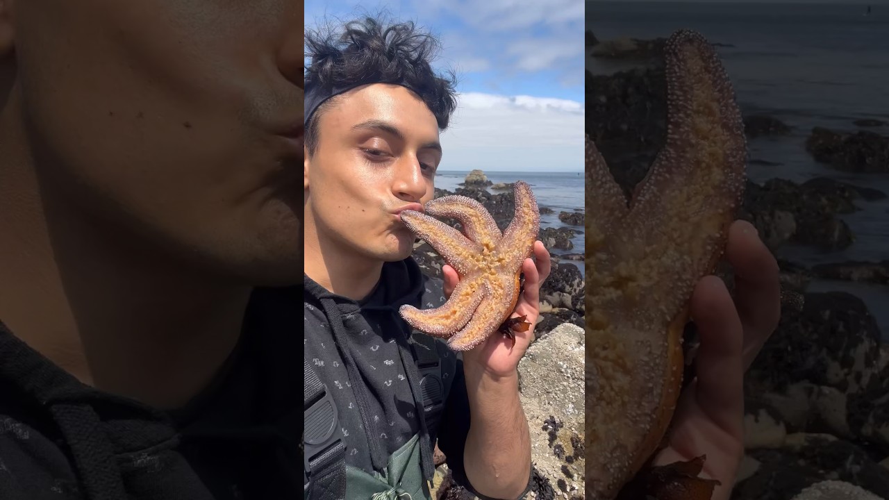 Saving Starfish Lives