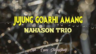 NAHASON TRIO - Jujung Goarhi Amang (Lirik)