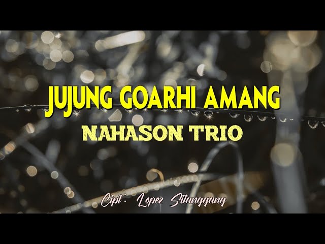 NAHASON TRIO - Jujung Goarhi Amang (Lirik) class=