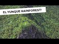 EL YUNQUE COMO NUNCA LO HABIAS VISTO!