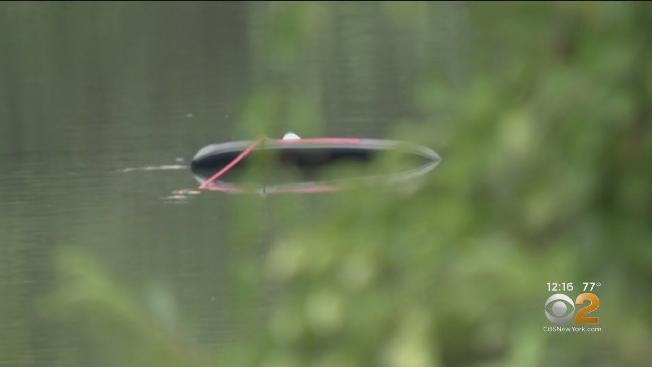 Stolen SUV Submerged In Long Island Pond