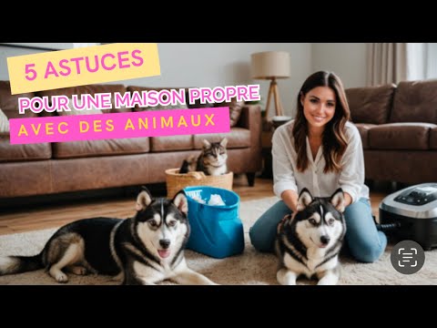 Conseils pour purifier l’air de votre maison avec des animaux