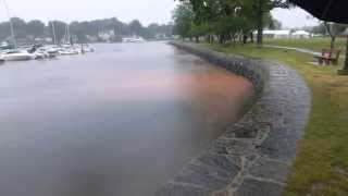 Mamaroneck Harbor, East Basin, August 11, 2015, 9:00 AM, high tide.
