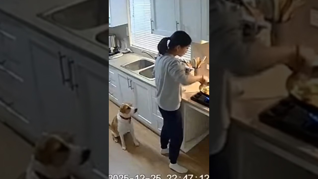 A dog saves a woman from a gas stove explosion | Cctv Footage 