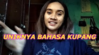 belajar BAHASA KUPANG DARI KOMENTAR DI VIKTOR LERIK | khusus luar NTT