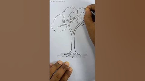 How to draw tree with V #drawingtutorial #sketch #easydrawing #viral #trending #tree #painting #art