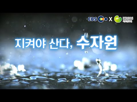 EBS X 국토연구원 Ep8 지켜야 산다 수자원 KRIHSdocumentary 