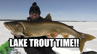 LAKE TROUT TIME!!