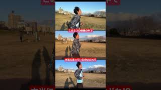 【イズモネア】走っている人はどれ?