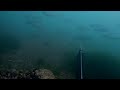 I DIDN’T KNOW BASS DID THIS? | Under water footage