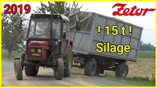 Siláže Kukuřice 2019 / Corn Silage / Kiszonka z kukurydzy / Maize / Mais | Zetor 7711, Crystal 12145