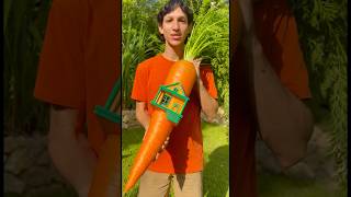 Meu cachorro tem uma casa na cenoura 🥕🏠😱