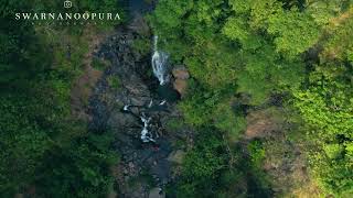 Natures Power A Birds Eye View Of Bangara Kusuma Uttara Kannada