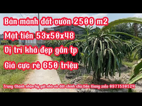 T.1302 bán 2500 m2 mặt tiền 53 mét cách đường nhựa 150 mét giá 650 triệu gần thành phố hồ chí minh