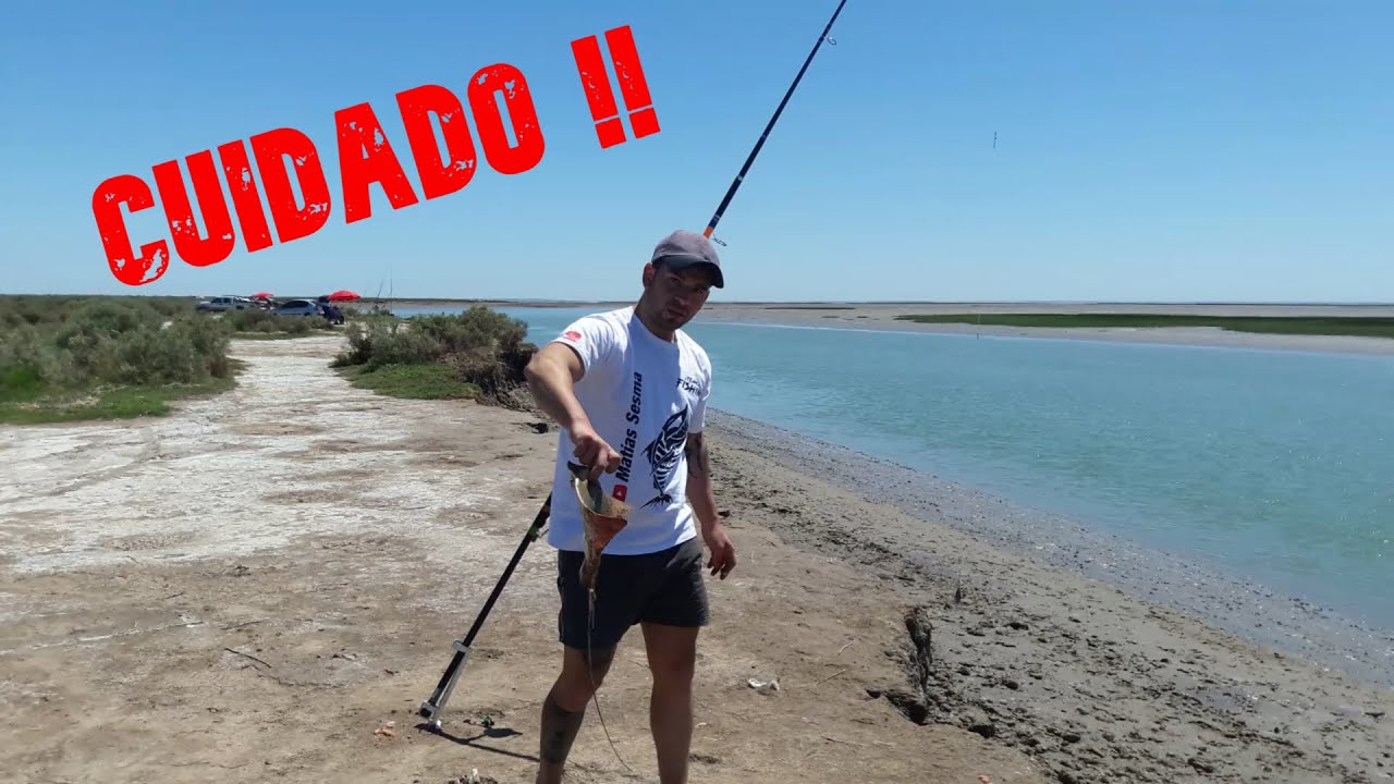 PESCA DE COSTA EN CABEZA DE BUEY , #BAHIA BLANCA #ARGENTINA