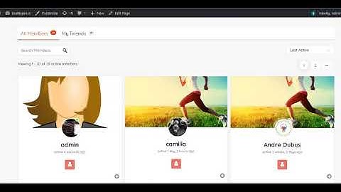 BuddyPress Member export/import