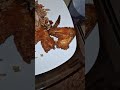 Chinese TeNt7755