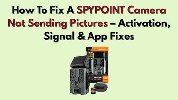 How To Fix A SPYPOINT Camera Not Sending Pictures – Activation, Signal & App Fixes