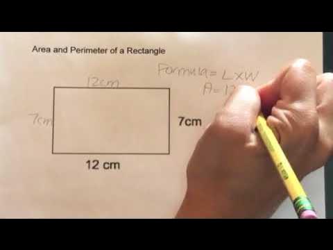How to find the Area and Perimeter of a Rectangle 