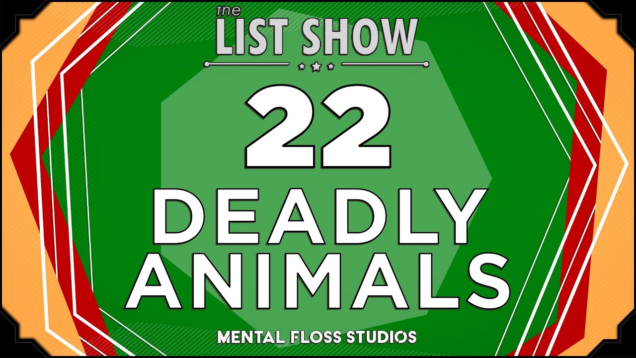 22 Dangerous Animals You Don't Want To Mess With | Mental Floss