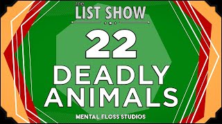 22 Dangerous Animals You Don't Want To Mess With | Mental Floss