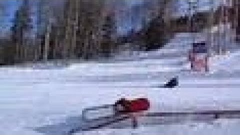 My Snowboarding Skillz