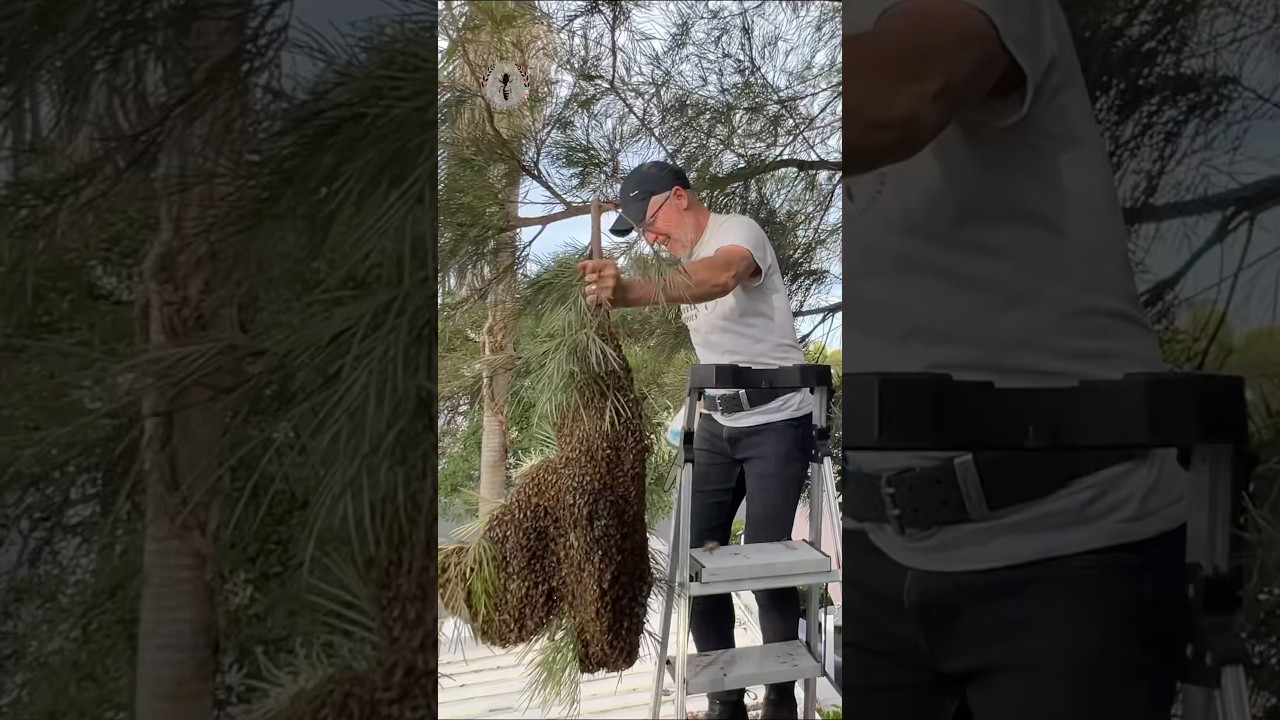 I dropped this Mega Bee Swarm! 썸네일