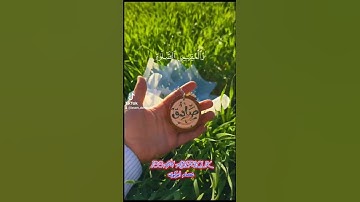 تلاوة خاشعة من الذكر الحكيم ❤️ #القرآن_الكريم #تلاوة_خاشعة #short #viral #fyp #foryoupage #tiktok