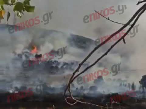 enikos.gr - ΒΙΝΤΕΟ από τη φωτιά στη Χαλκίδα