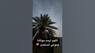 يوم الجمعة 🌷🌷🤍🌷🤍 #عبدالرحمن_مسعد_تلاوة_جديدة #رزق_وبركة #ارحموا_من_في_الارض_يرحمكم_من_في_السماء