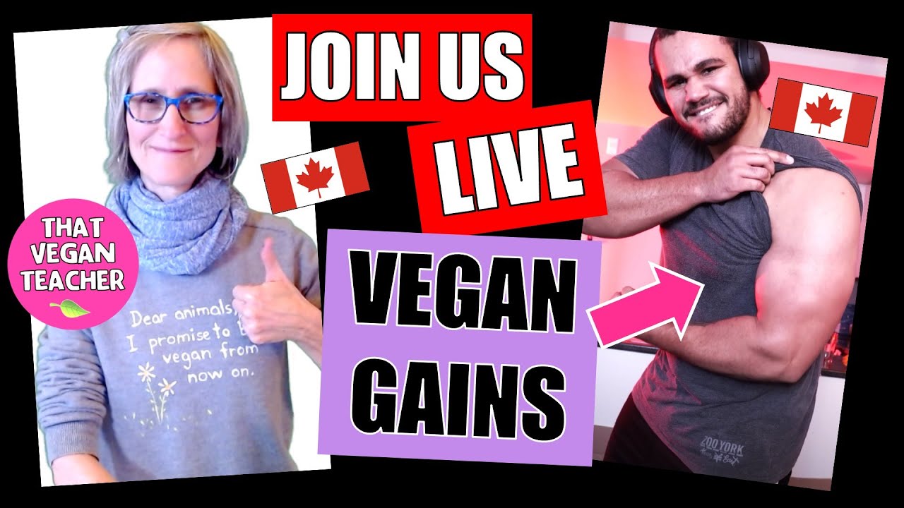 Vegan gains patreon