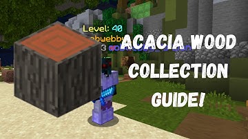 Hypixel Skyblock | Acacia Collection Guide