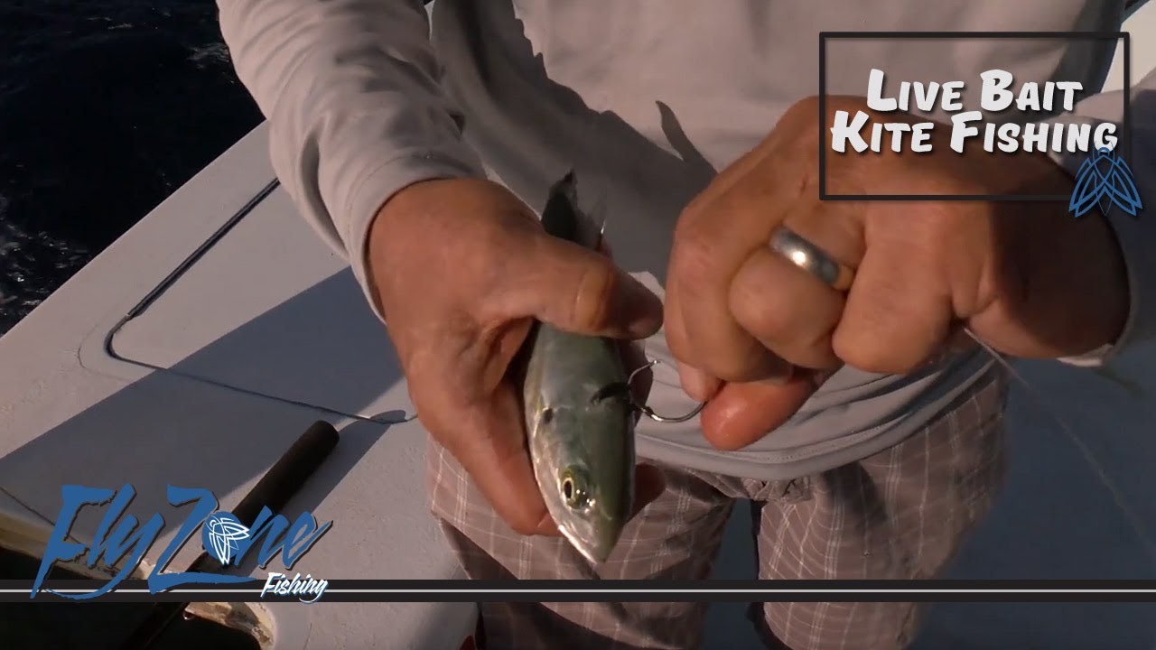 Rigging up a Live bait for Kite Fishing with Captain Ray Rosher