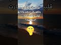 لن يخط ر على بالك اسم هذا الطير الغاز للاذكياء الغاز صعبة