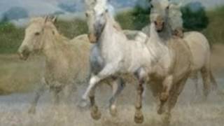 Claude Léveillée ' La legende du cheval blanc"