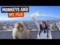 Exploring MT.Fuji and visiting the Snow Monkeys