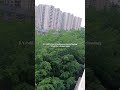 D.Y.Patil school of engineering and technology University Lohagaon,pune