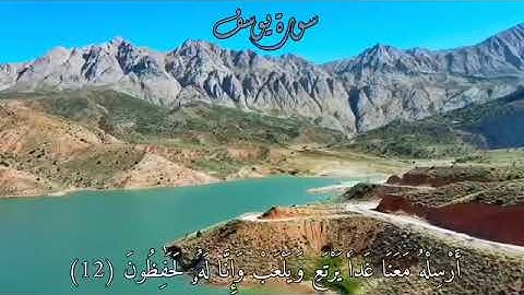 ماتيسر من سورة يوسف للقارئ الشيخ أيوب الشريف حفظه الله ورعاه ونفع به 🕊🌿من صلاة التهجد رمضان 1445هـ