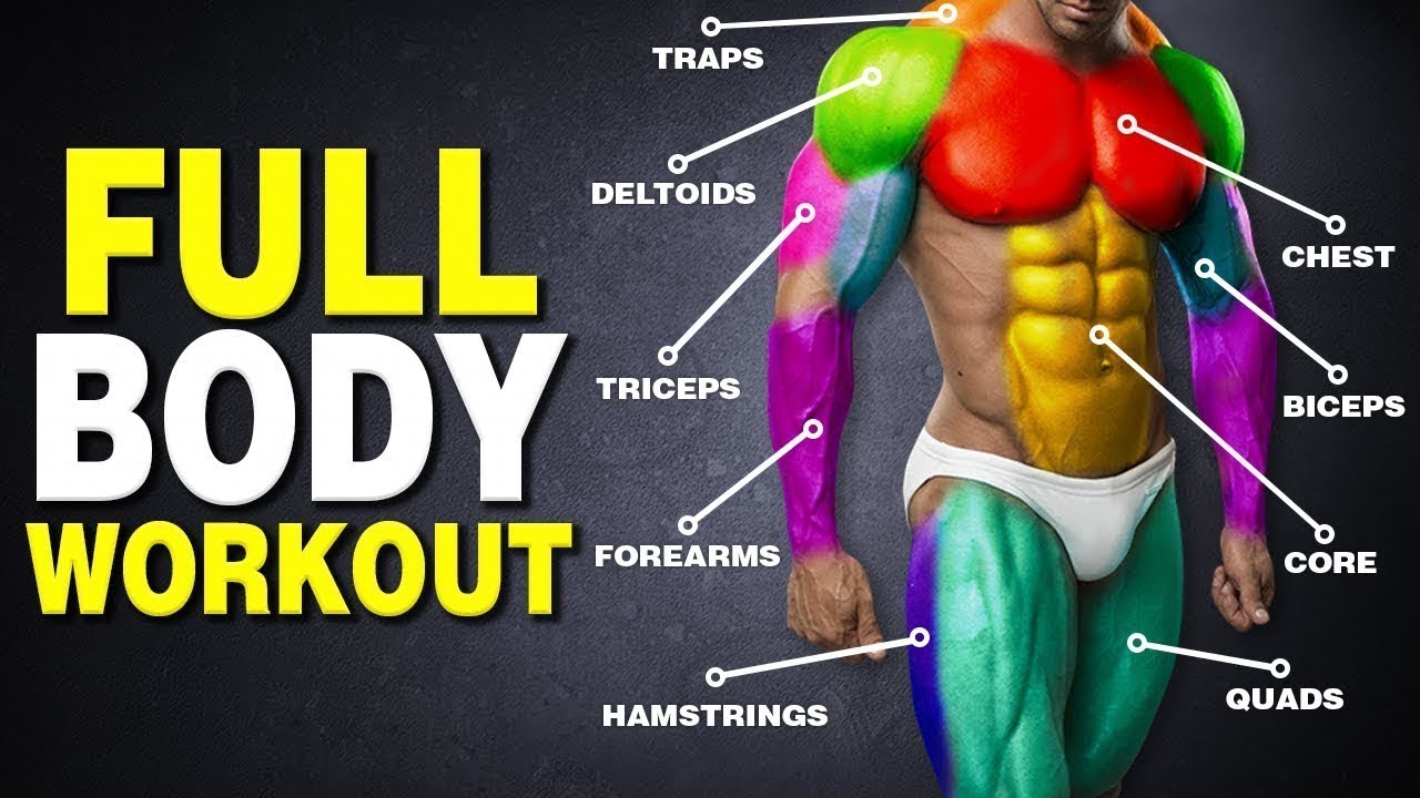 TOP 5 FULL BODY-WEIGHT WORKOUT / MUSCULATION AU POIDS DE ...